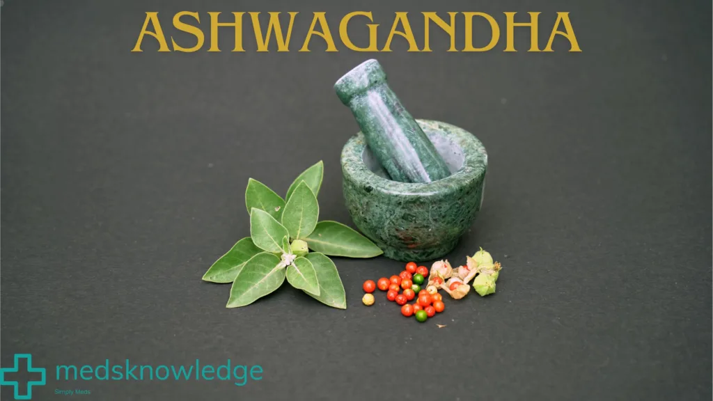 Green Ashwagandha leaves and bright red berries next to a marble mortar and pestle on a dark surface.